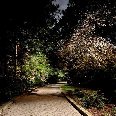 Moonlighting Design for Norfolk Driveway Photo